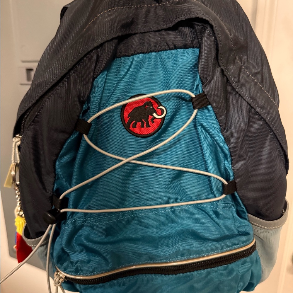 Mammut Teal and Dark Gray Backpack